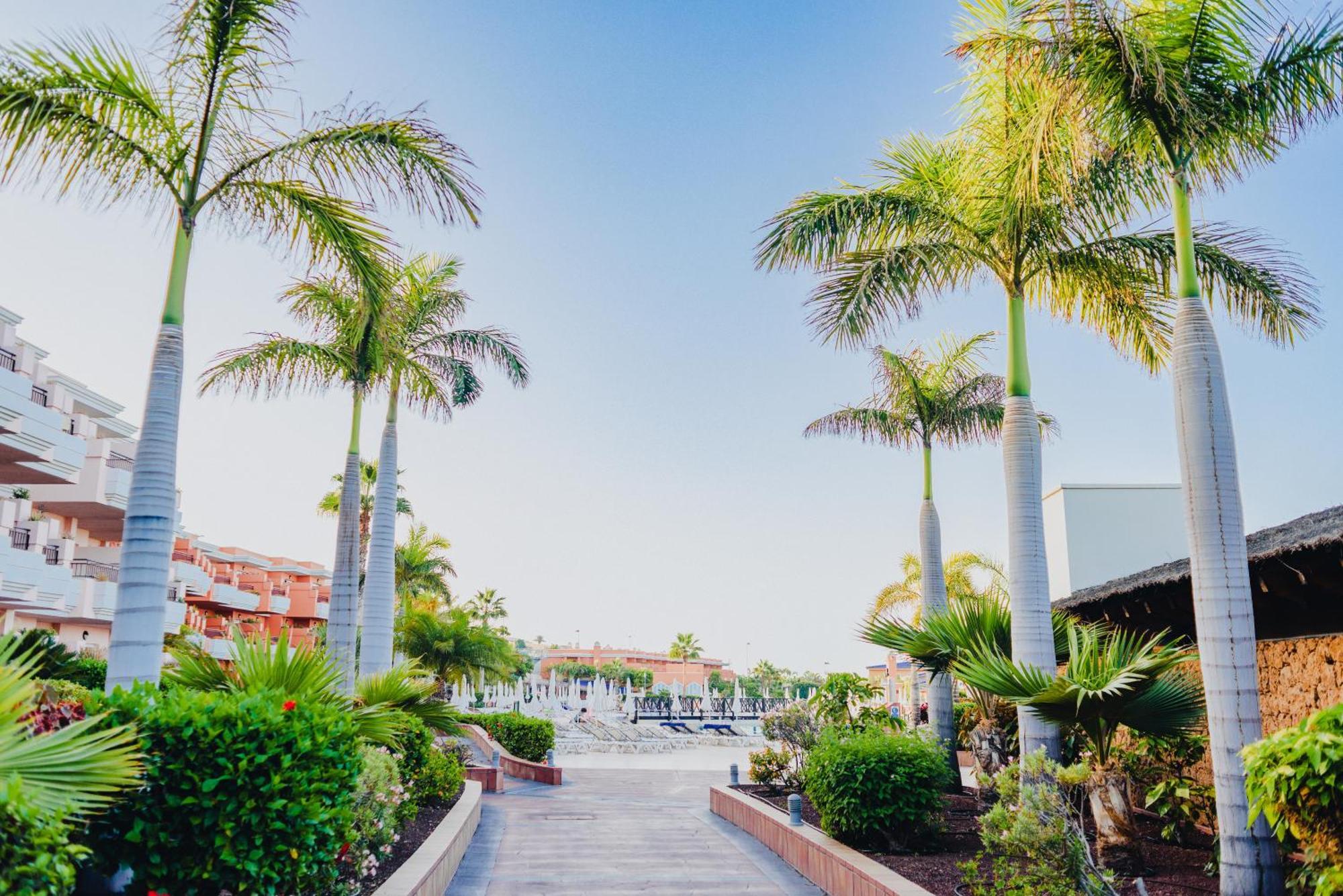Landmar Costa Los Gigantes Family Resort Puerto de Santiago  Buitenkant foto